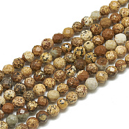 Natural Picture Jasper Beads Strands, Faceted, Round, 3~3.5mm, Hole: 0.3mm, about 113pcs/strand, 14.9 inch(G-S300-01-3mm)