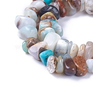 Natural Blue Opal Beads Strands, Chips, 4~12x3~8x1~6mm, Hole: 1mm, about 14.9 inch~16.1 inch(38~41cm)(G-I225-13A)