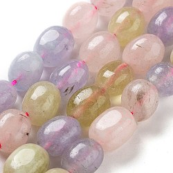 Natural Malaysia Jade Beads Strands, Oval, Dyed, Mixed Color, 11~13x9~10x8.5~10mm, Hole: 1mm, about 16pcs/strand, 7.28~7.48 inch(18.5~19cm)(G-P528-N13-01)