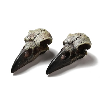 Crow Raven Bird Skull Resin Home Display Decoration, Black, 60x28x21mm, Hole: 4mm