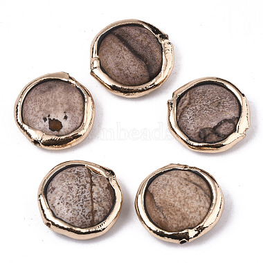 Flat Round Picture Jasper Beads