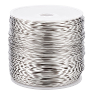 304 Stainless Steel Wire, Round, Stainless Steel Color, 22 Gauge, 0.6mm, about 459.32 Feet(140m)/Roll(STAS-WH0016-47P-03)
