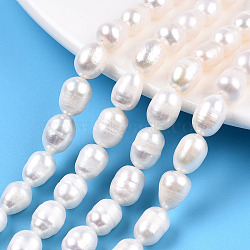 Natural Cultured Freshwater Pearl Beads Strands, Rice, Seashell Color, 8~10x6.8~7.5mm, Hole: 0.7~0.8mm, about 38~39pcs/strand, 13.98 inch(35.5cm)(PEAR-N012-07Q)