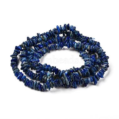 Natural Lapis Lazuli Chip Bead Strands(G-M205-14)-5