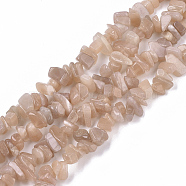 Natural Sunstone Beads Strands, Chip, 5~15x3~10x1~7mm, Hole: 1mm, about  240~270pcs/Strand, 33.07~34.64 inch(84~88cm)(X-G-S363-016)