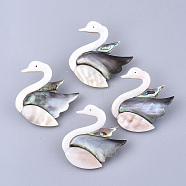 Shell Brooches/Pendants, with Iron Findings, Swan, Platinum, Misty Rose, 47~48x42~46x13~14mm, Hole: 6.5mm, Pin: 0.6mm(SHEL-S275-73)