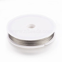 Tiger Tail Wire, Nylon-coated Stainless Steel, Original Color(Raw), Raw, 24 Gauge, 0.5mm, about 164.04 Feet(50m)/roll(TWIR-50R0.5MM-1)