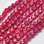 Lab Grown Red Corundum Beads Strands, Faceted, Round, 3.5mm, Hole: 0.6mm, about 110pcs/strand, 14.5 inch(G-K207-01E-01)