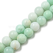 Grade A Natural Chrysoprase Beads Strands, Round, 6mm, Hole: 0.8mm, about 65pcs/strand, 15.43''(39.2cm)(G-R494-A02-02)