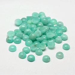 Dome Natural Amazonite Cabochons, 6x3mm(G-O146-02B)