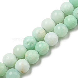 Grade A Natural Chrysoprase Beads Strands, Round, 6mm, Hole: 0.8mm, about 65pcs/strand, 15.43''(39.2cm)(G-R494-A02-02)