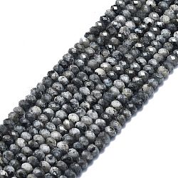 Natural Larvikite Beads Strands, Faceted, Rondelle, 6x4mm, Hole: 1mm, about 85~90pcs/strand, 15.55 inch(39.5cm)(G-F715-098)