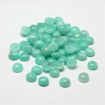 Dome Natural Amazonite Cabochons, 6x3mm
