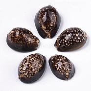 Natural Cowrie Shell Beads, No Hole/Undrilled, 60~90x40~60x25~45mm(SSHEL-Q298-19)