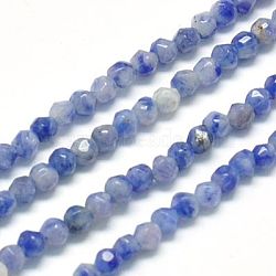 Natural Sodalite Beads Strands, Faceted, Round, Blue, 2mm, Hole: 1mm, about 185~200pcs/strands, 15.4 inch(X-G-J002-09)
