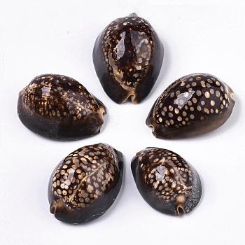 Natural Cowrie Shell Beads, No Hole/Undrilled, 60~90x40~60x25~45mm