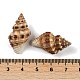 Natural Spiral Shell Beads(SHEL-K009-17C)-3