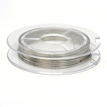 Round Copper Jewelry Wire, Light Grey, 0.3mm, about 32.8 Feet(10m)/roll, 10 rolls/group
