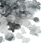 50G Transparent Acrylic Beads, Frosted, Mixed Shapes, Gray, 12~30.5x11.5~39.5x2.5~9mm, Hole: 1.6~2.7mm(OACR-YW0002-44E)