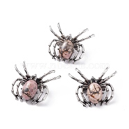 Natural Rhodonite Brooch, with Alloy Findings and Glass, Spider, Antique Silver, 34~35x41~42x7mm, Hole: 3x5mm(G-A176-C16-1)