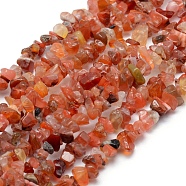 Natural Carnelian Beads Strands, Dyed & Heated, Chip, 5~8mm, Hole: 1mm, about 33 inch(84cm)(G-P332-04)