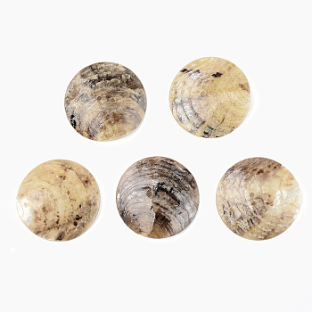 Mother of Pearl Buttons, Natural Akoya Shell Button, Flat Round, Camel, 30x3~5mm, Hole: 1.6mm