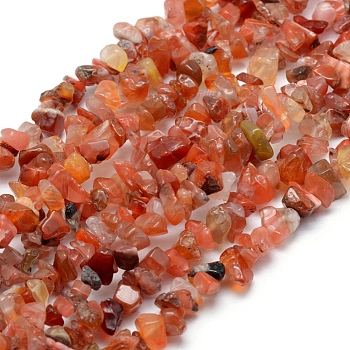 Natural Carnelian Beads Strands, Dyed & Heated, Chip, 5~8mm, Hole: 1mm, about 33 inch(84cm)