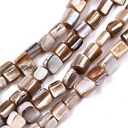 Natural Freshwater Shell Beads Strands, Nugget Stick, Camel, 5~12x5~8x4~8mm, Hole: 0.7mm, about 54~57pcs/strand, 14.96~15.35 inch(38~39cm)(SHEL-N026-124)