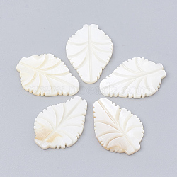 Freshwater Shell Cabochon, Leaf, Creamy White, 29~30x20x2.5mm(SHEL-Q020-14B)