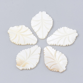 Freshwater Shell Cabochon, Leaf, Creamy White, 29~30x20x2.5mm