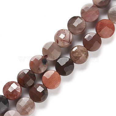 Mixed Color Flat Round Petrified Wood Beads