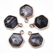 Natural Botswana Agate Charms, with Light Gold Plated Brass Edge and Loop, Hexagon, Faceted, 15x11x4.5mm, Hole: 1.5mm(G-N326-47A)