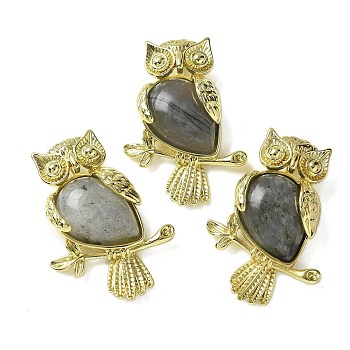 Natural Labradorite Pendants, Brass Owl Charms, Golden, Rack Plating, Cadmium Free & Lead Free, 36.5x26.5x7.5mm, Hole: 6.5x4.5mm