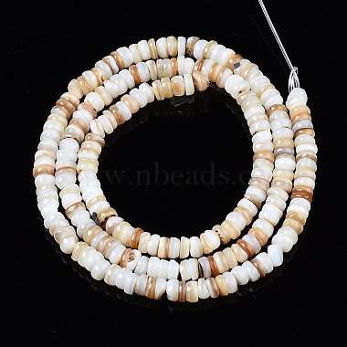 Natural Freshwater Shell Beads Strands(X-SHEL-T018-28)-2