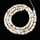 Natural Freshwater Shell Beads Strands(X-SHEL-T018-28)-2