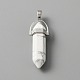 Natural Howlite Double Terminal Pointed Pendants(G-TAC0001-07C)-1