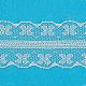 Lace Trim Nylon Ribbon for Jewelry Making(ORIB-F003-172)-1