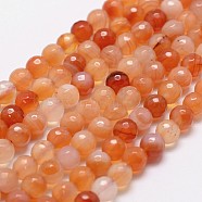 Natural Red Agate Beads Strands, Faceted, Round, 6mm, Hole: 1mm, about 61pcs/strand, 14.9 inch~15.1 inch(X-G-D840-34-6mm)