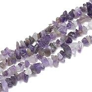Natural Amethyst Beads Strands, Chip, 5~11x3~9x1~9mm, Hole: 1mm, about 200~300pcs/strand, 33.8 inch(X-G-S314-27)