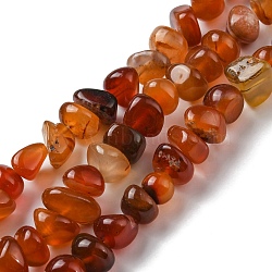 Natural Agate Beads Strands, Dyed, Nuggets, Chocolate, 7.5~10x11.5~13x10.5~13mm, Hole: 1.2mm, about 44pcs/strand, 14.17~14.41 inch(36~36.6cm)(G-C039-F02)