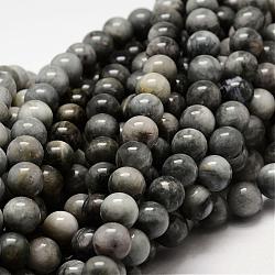 Natural Hawk's Eye Round Beads Strands, Eagle Eye Stone, 10mm, Hole: 1mm, about 40pcs/strand, 15.7 inch(G-O143-01-10mm)