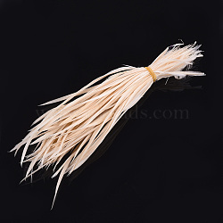 Goose Feather Costume Accessories, Dyed, PeachPuff, 150~265x3~4mm, about 100pcs/bundle(FIND-T037-09K)