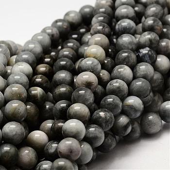 Natural Hawk's Eye Round Beads Strands, Eagle Eye Stone, 10mm, Hole: 1mm, about 40pcs/strand, 15.7 inch