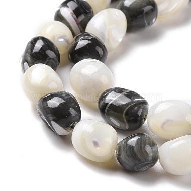Natural Trochid Shell Beads Strands(SSHEL-G023-04C)-3