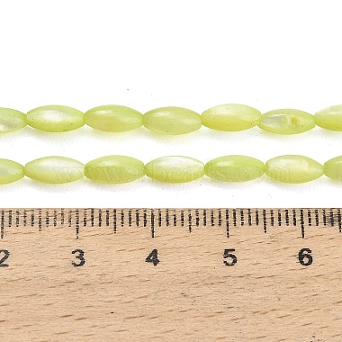 Natural Freshwater Shell Beads Strands(X-SHEL-C010-01D)-4