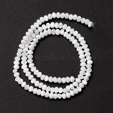 Natural Trochid Shell/Trochus Shell Beads Strands(SSHEL-O001-24B-02)-2
