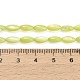 Natural Freshwater Shell Beads Strands(X-SHEL-C010-01D)-4