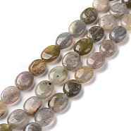 Natural Labradorite Beads Strands, Oval, 9~11x8~8.5x4.5~5mm, Hole: 0.8mm, about 39pcs/strand, 15.55 inch(39.5cm)(G-C238-37)