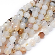 Natural Dendritic Agate Beads Strands, Round, 10~10.5mm, Hole: 0.8mm, about 38 pcs/Strand, 15.35 inch(39 cm)(G-D0005-18-10mm)