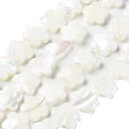 Natural Trochus Shell Beads Strands, Flower, Floral White, 12x12.5x3~3.5mm, Hole: 0.8mm, about 34pcs/strand, 15.75''(40cm)(BSHE-E030-07)